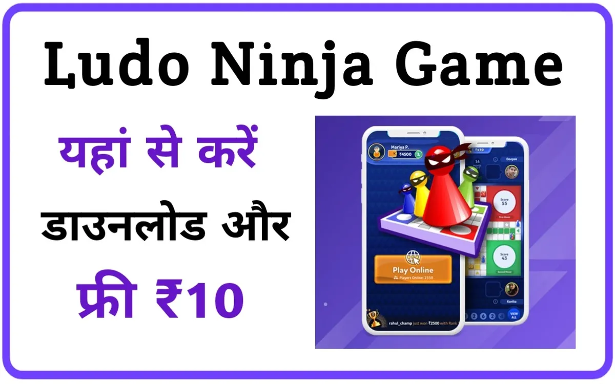 Ludo Ninja App